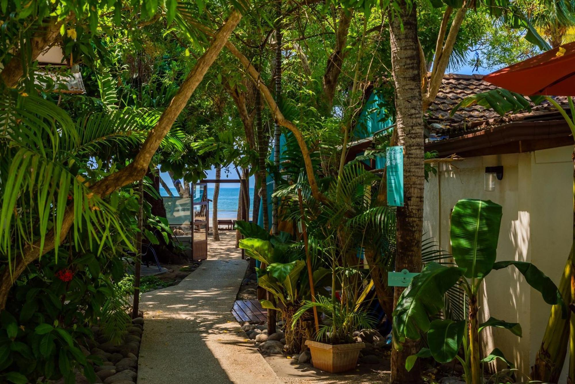 The Coast Beachfront Hotel Tamarindo Exteriér fotografie
